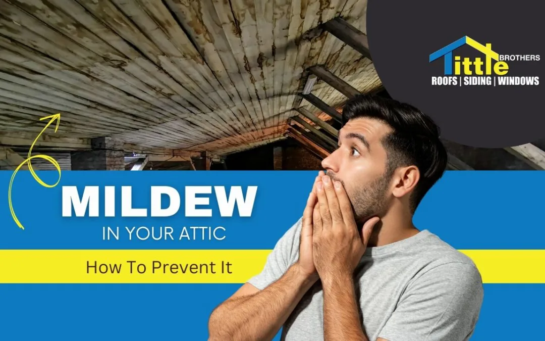 Mildew In Your Attic? Why Ventilation Matters