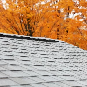 roof peak with ridge vent with orange fall leaves in the background