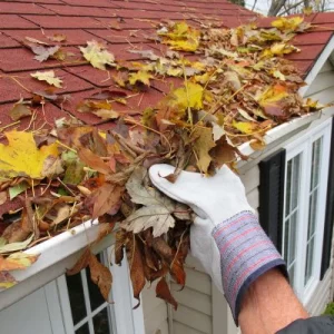 Hand in work glove removing autumn leaves from clogged roof gutter