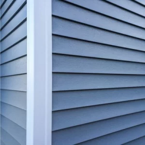  Close-up of blue vinyl siding with white trim